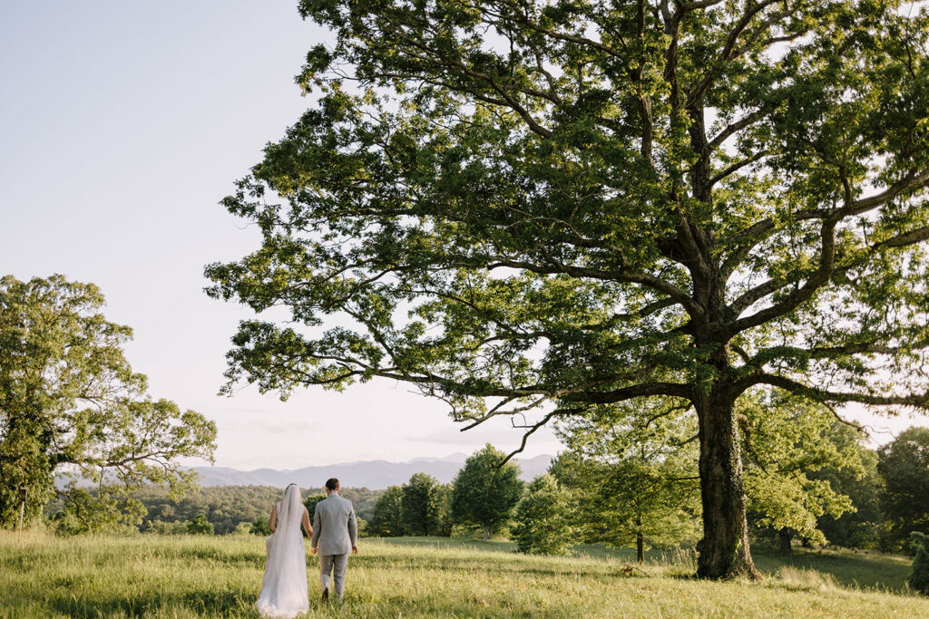 unique wedding photos at biltmore