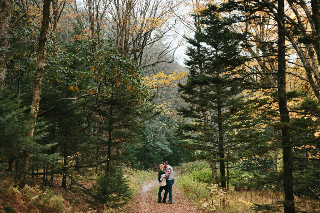 asheville engagement photos