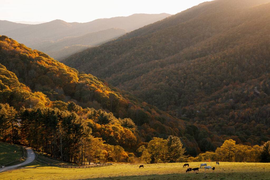 cataloochee ranch