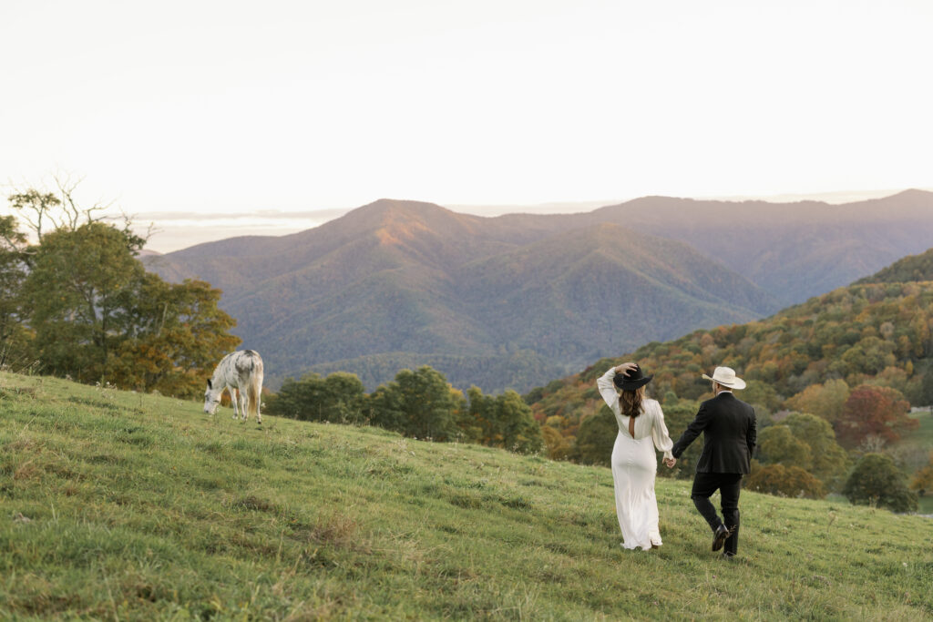 cataloochee wedding horses