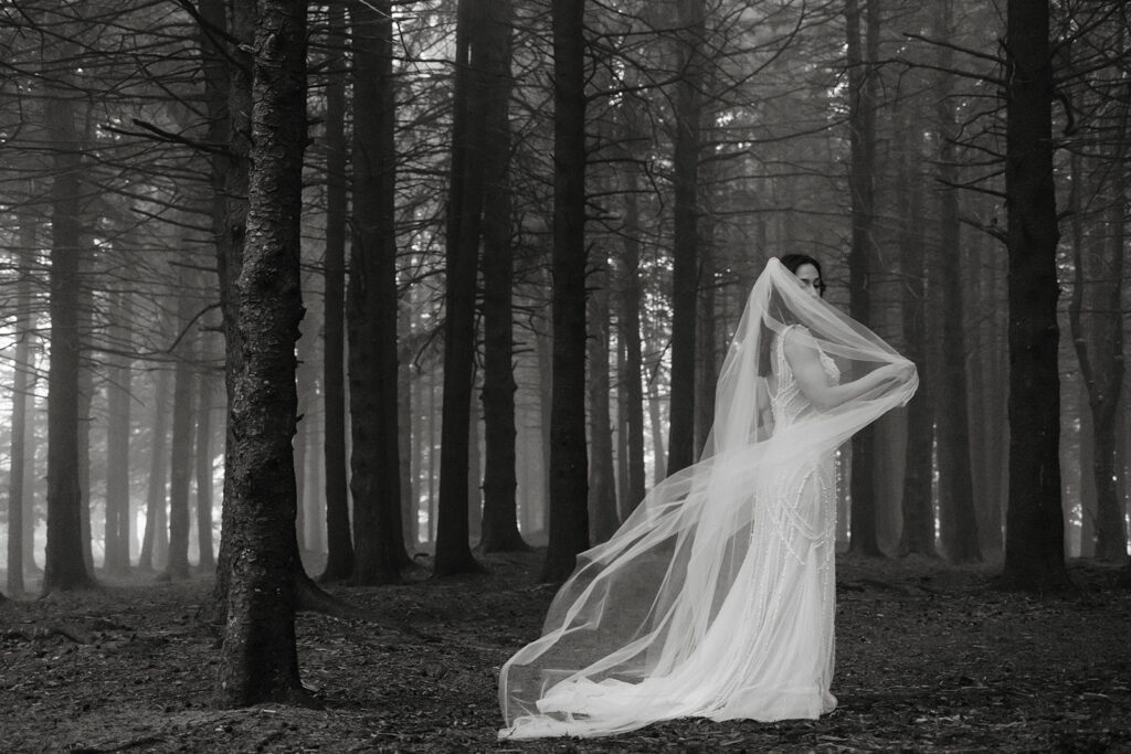 foggy-blue-ridge-parkway-elopement-01