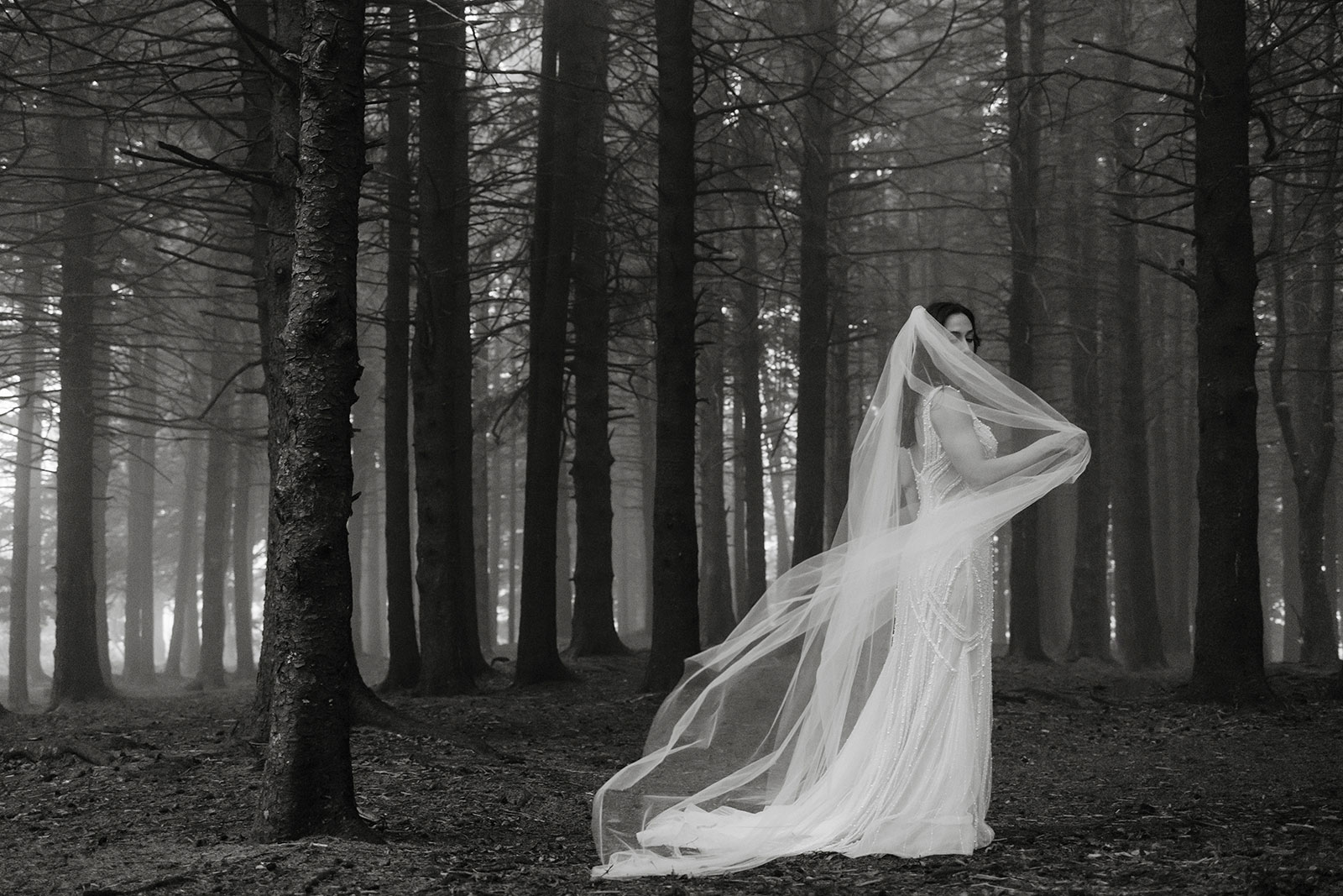 foggy-blue-ridge-parkway-elopement-01